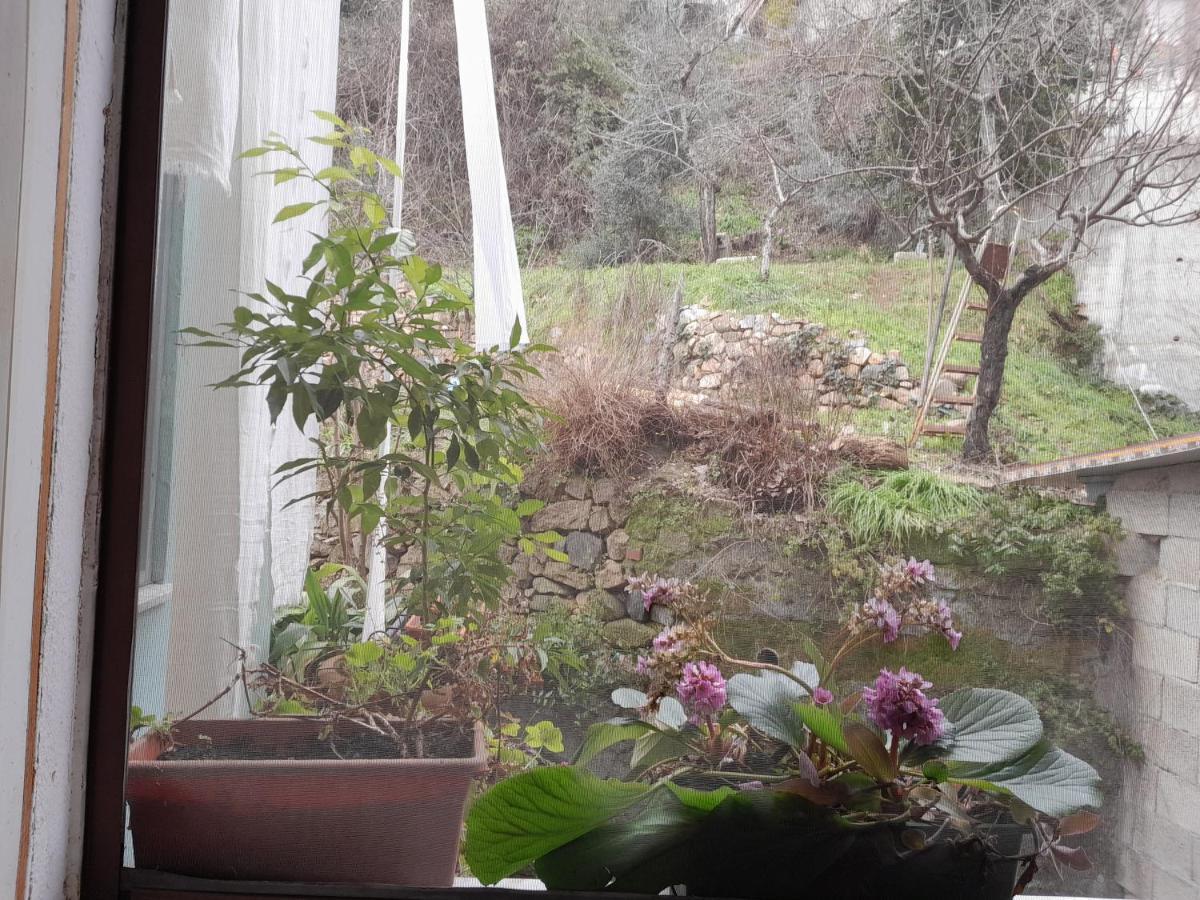 Antichi Sapori Da Speranza Villa Gavoi Oda fotoğraf